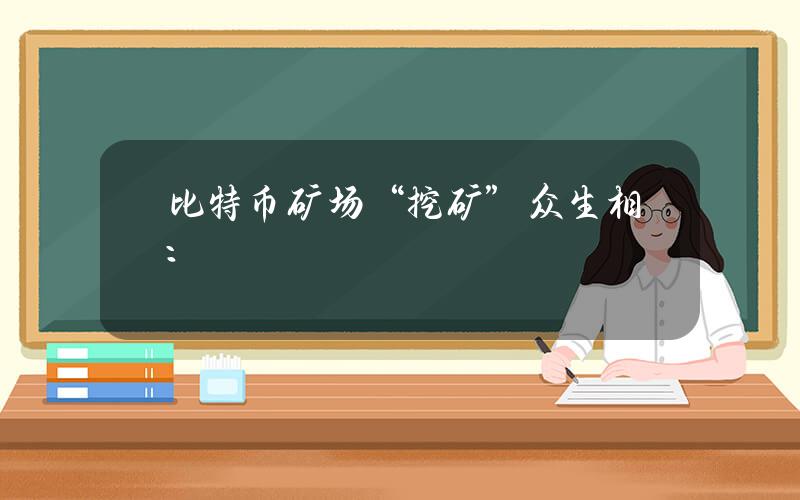 比特币矿场“挖矿”众生相：大矿主两月入七千万