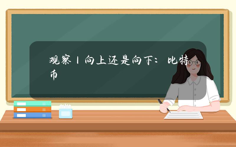 观察｜向上还是向下：比特币价格突破历史新高后剧烈回撤